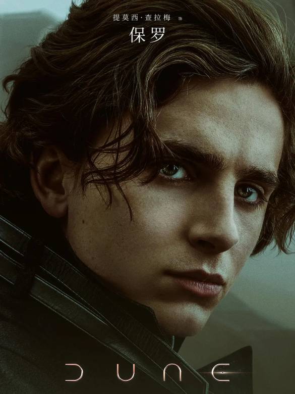 沙丘保罗·厄崔迪,保罗·厄崔迪扮演者是谁,保罗·厄崔迪谁演的结局